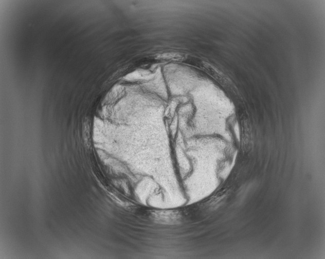 X0000082200281200702170026