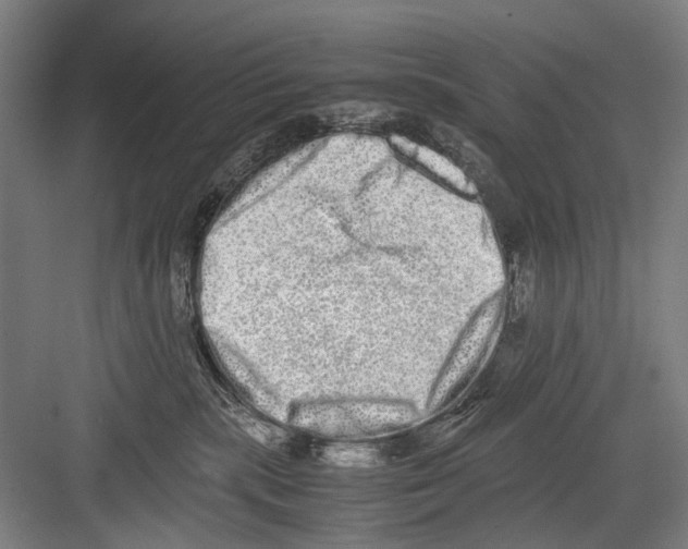 X0000082200283200702170026