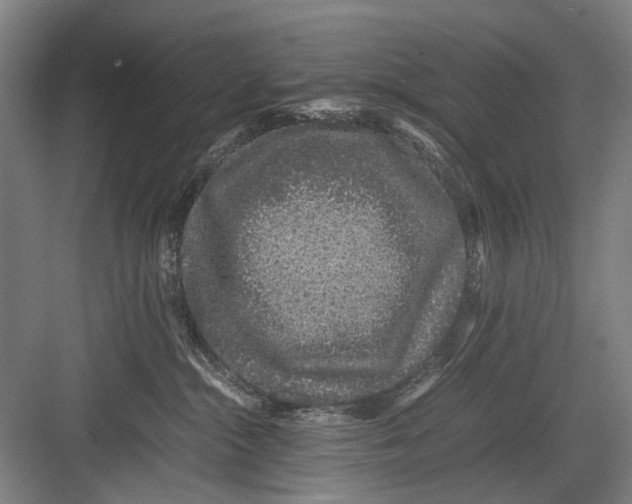 X0000082200284200702170026