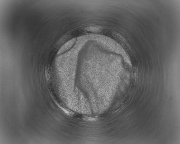 X0000082200285200702170026