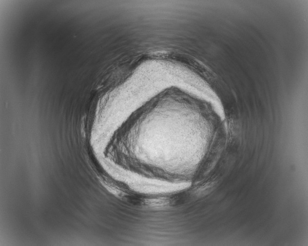 X0000082200286200702170026