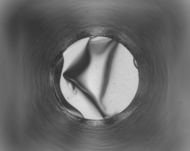 X0000082200288200702170026