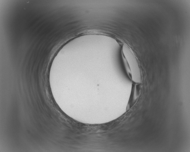 X0000082200289200702170025