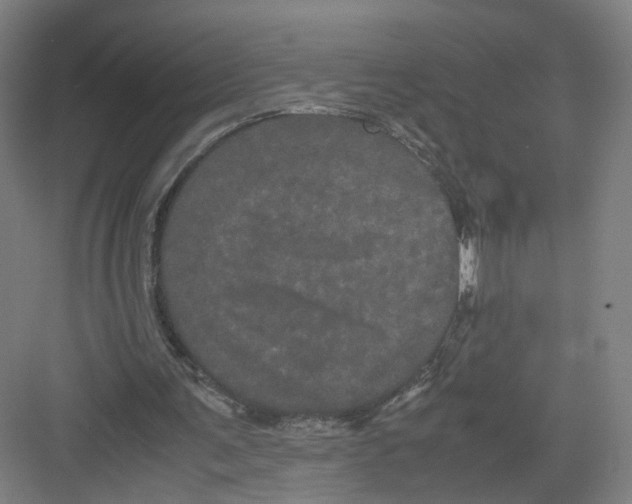 X0000082200291200702170025