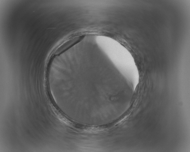 X0000082200293200702170025