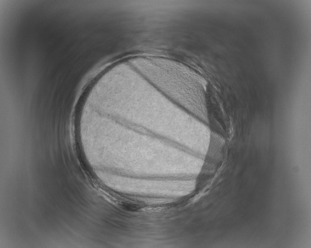 X0000082200294200702170025