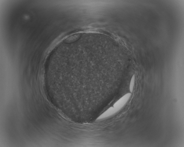 X0000082200295200702170025