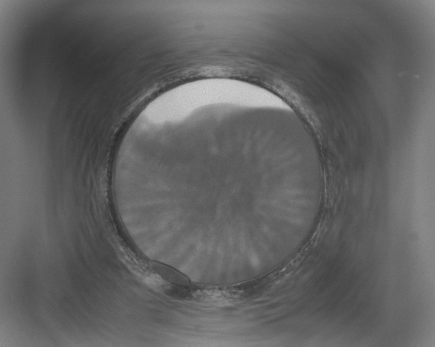 X0000082200297200702170025