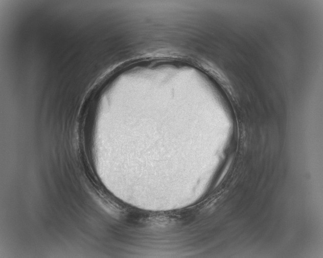 X0000082200298200702170025