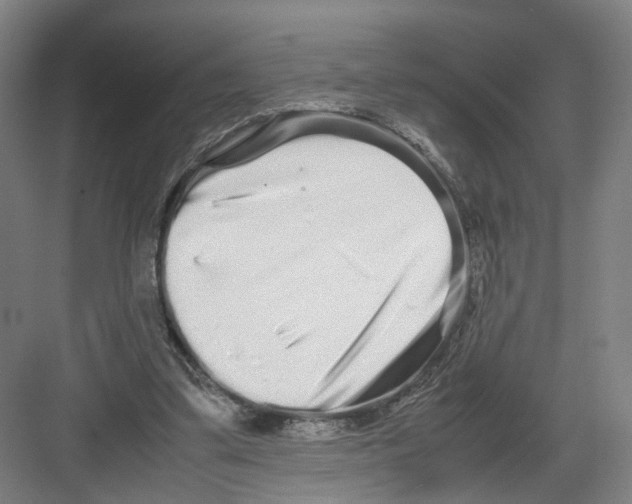 X0000082200299200702170025