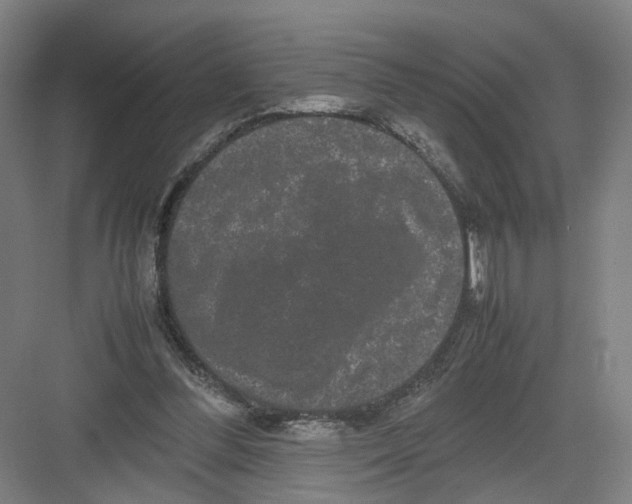 X0000082200300200702170025