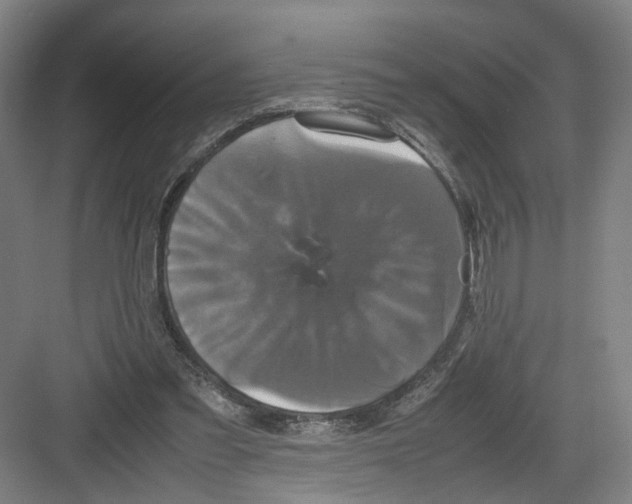 X0000082200301200702170025