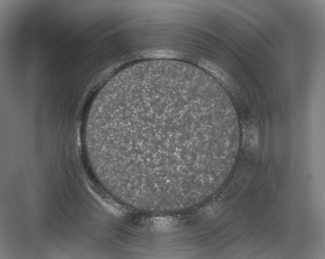 X0000082200302200702170025