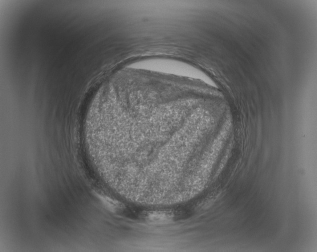 X0000082200303200702170025