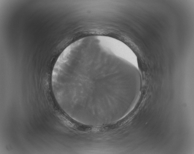 X0000082200305200702170025