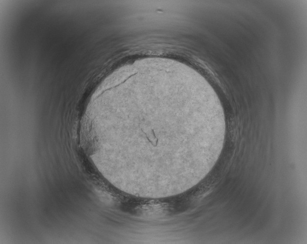 X0000082200307200702170025