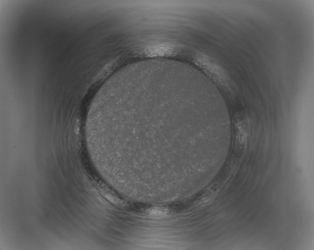 X0000082200308200702170025