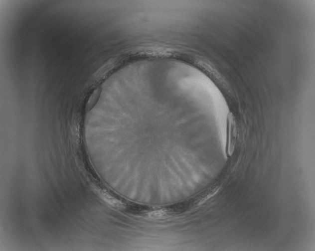 X0000082200309200702170025