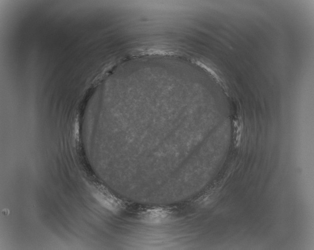 X0000082200310200702170025