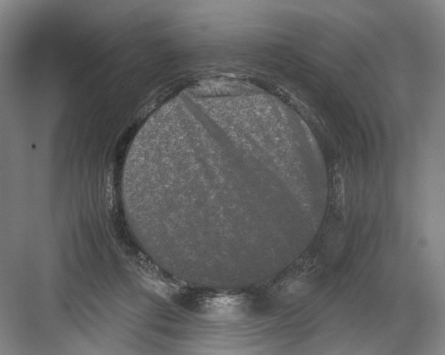 X0000082200312200702170025