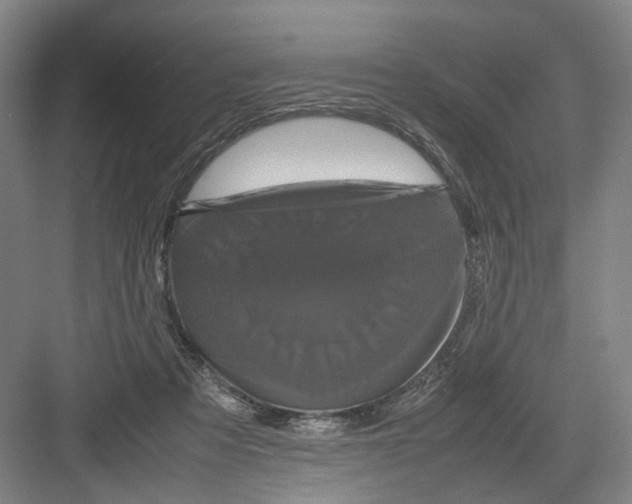 X0000082200313200702170025