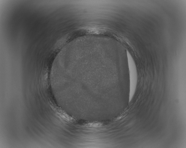 X0000082200314200702170025