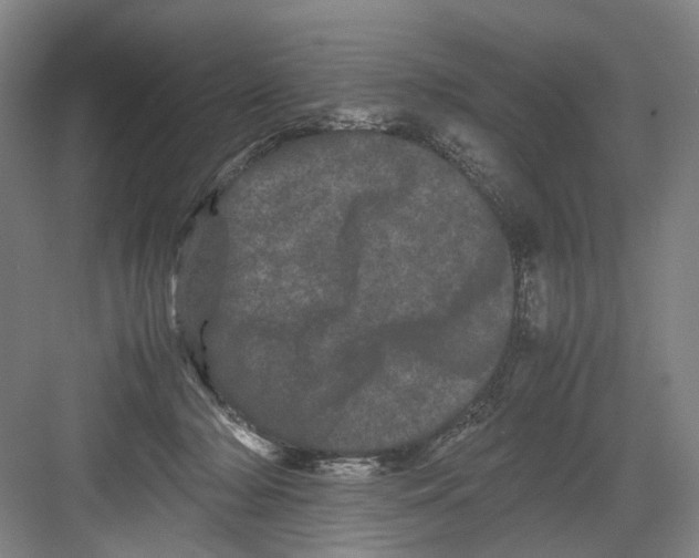 X0000082200318200702170025