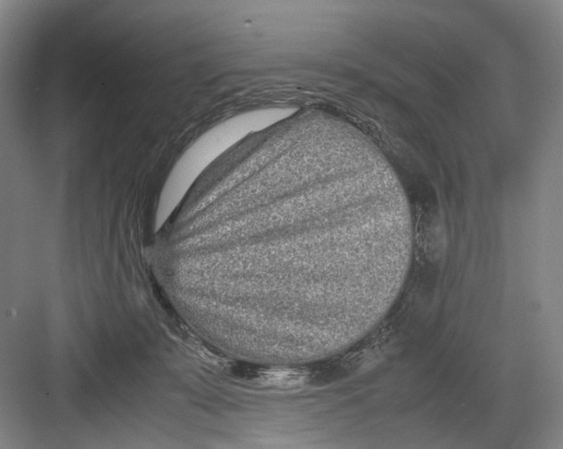 X0000082200319200702170025