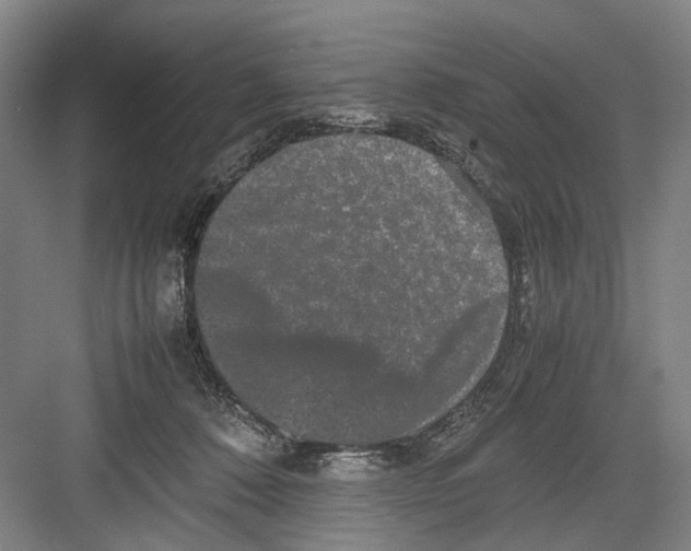 X0000082200320200702170025