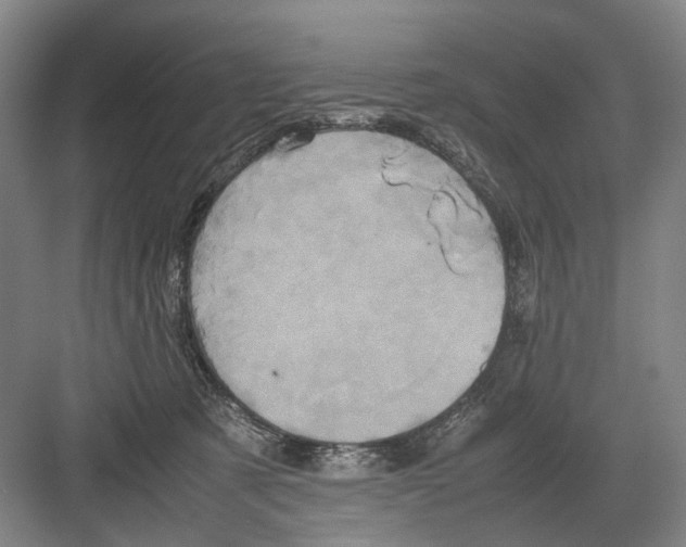 X0000082200321200702170025