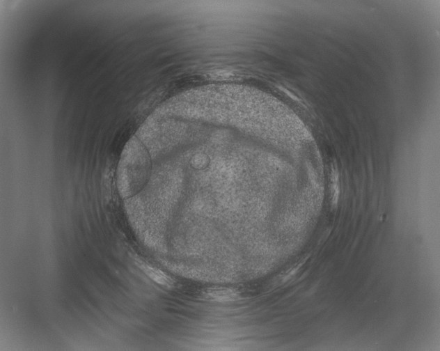 X0000082200322200702170025