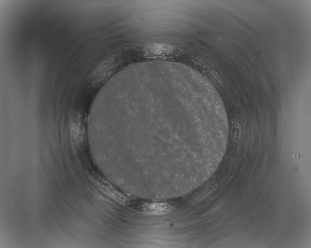 X0000082200324200702170025