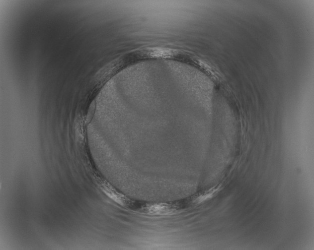 X0000082200325200702170025