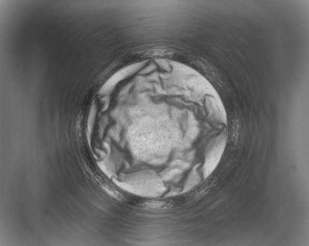 X0000082200326200702170025