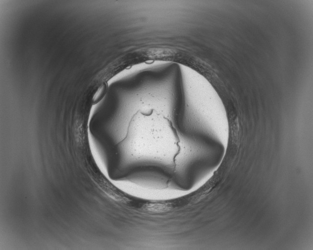 X0000082200327200702170025