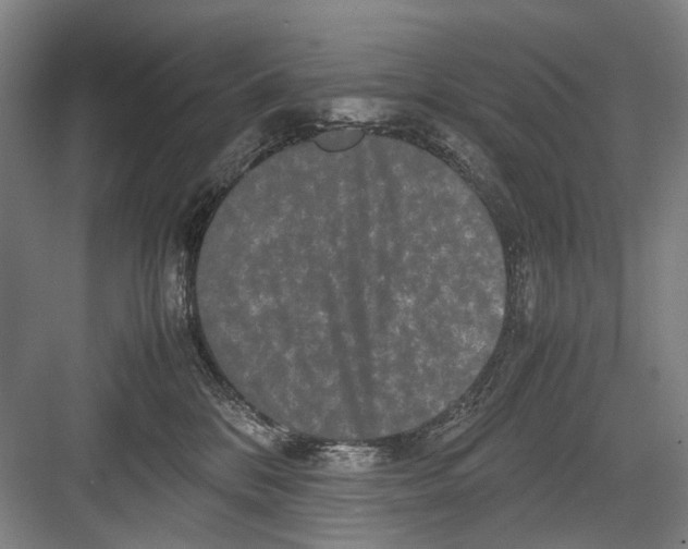 X0000082200328200702170025