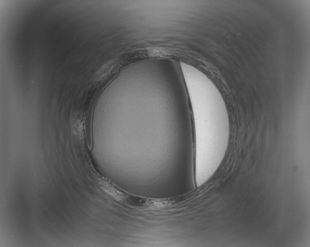 X0000082200329200702170025