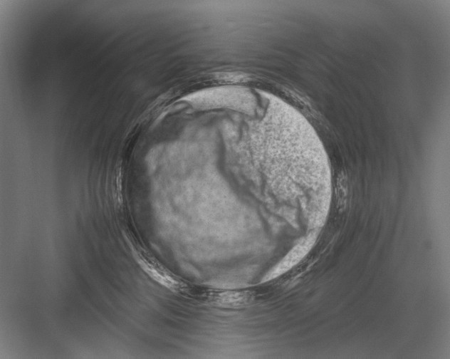 X0000082200330200702170025