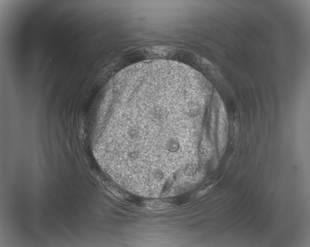 X0000082200331200702170025