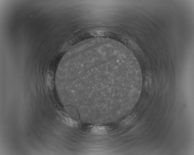 X0000082200332200702170025