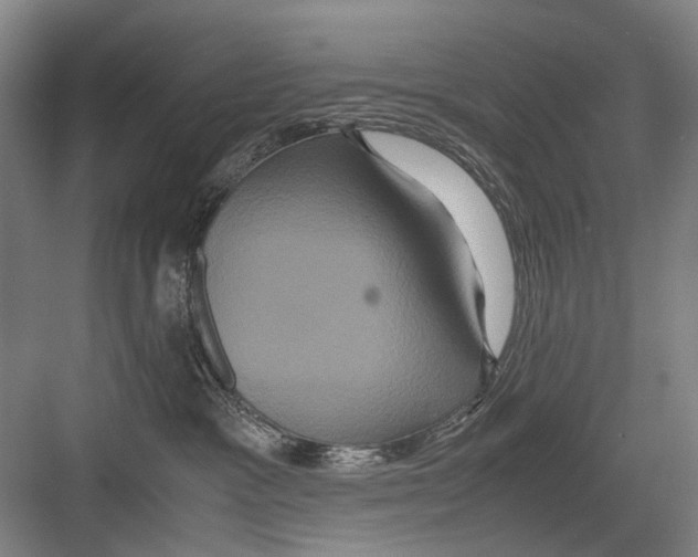 X0000082200333200702170025