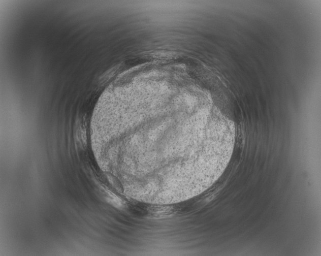 X0000082200334200702170025