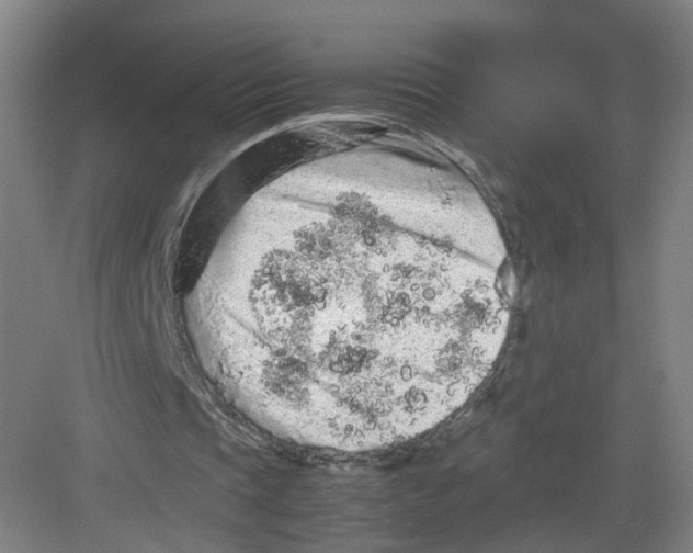 X0000082200337200702170024