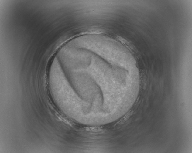 X0000082200338200702170024