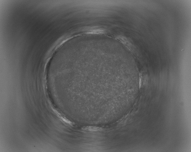 X0000082200339200702170024