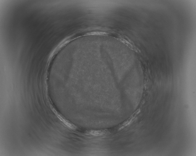 X0000082200341200702170024