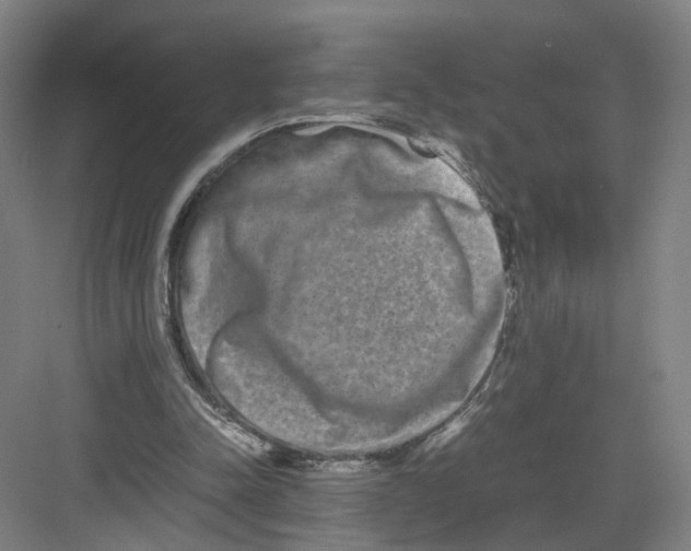 X0000082200342200702170024