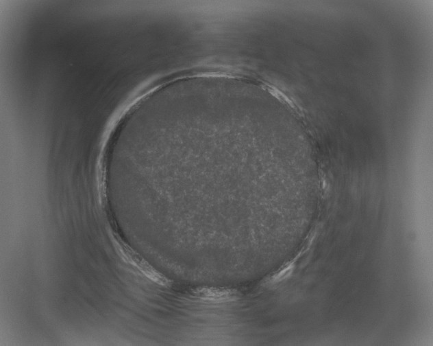 X0000082200343200702170024