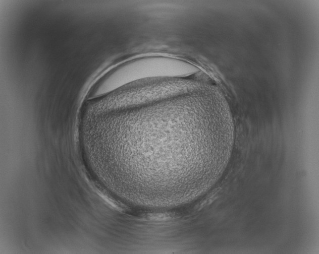 X0000082200344200702170024