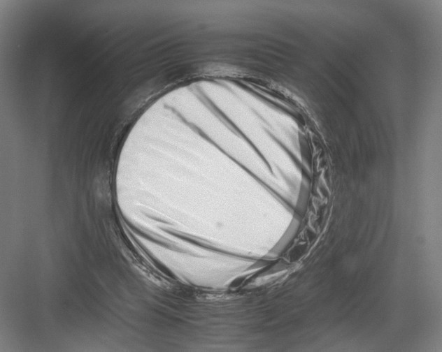 X0000082200345200702170024